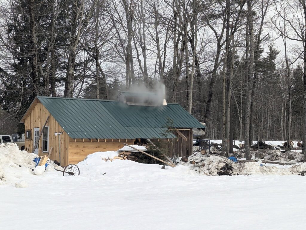 Maple Weekend 2025